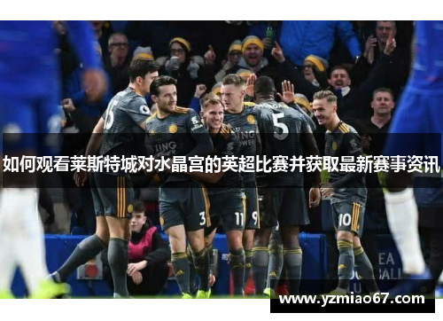 如何观看莱斯特城对水晶宫的英超比赛并获取最新赛事资讯 如何观看莱斯特城对水晶宫的英超比赛并获取最新赛事资讯