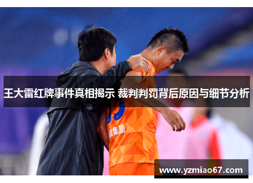 王大雷红牌事件真相揭示 裁判判罚背后原因与细节分析