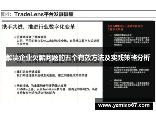 解决企业欠薪问题的五个有效方法及实践策略分析 解决企业欠薪问题的五个有效方法及实践策略分析