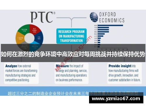 如何在激烈的竞争环境中高效应对每周挑战并持续保持优势