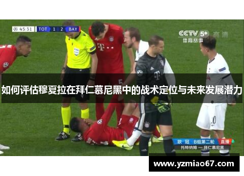 如何评估穆夏拉在拜仁慕尼黑中的战术定位与未来发展潜力 如何评估穆夏拉在拜仁慕尼黑中的战术定位与未来发展潜力